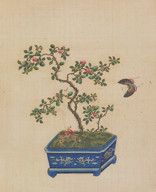 Flowers, birds and insects Pl.35