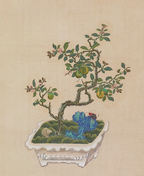 Flowers, birds and insects Pl.38