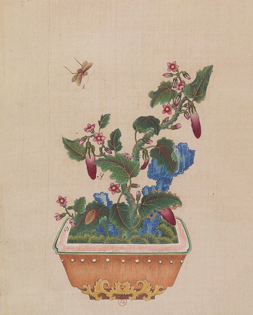 Flowers, birds and insects Pl.40