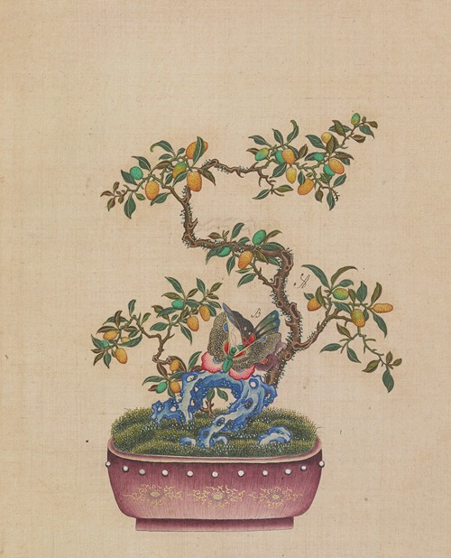 Flowers, birds and insects Pl.42