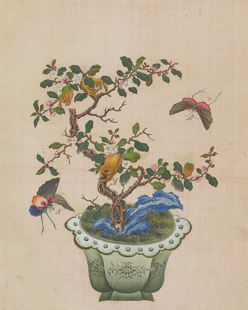 Flowers, birds and insects Pl.43