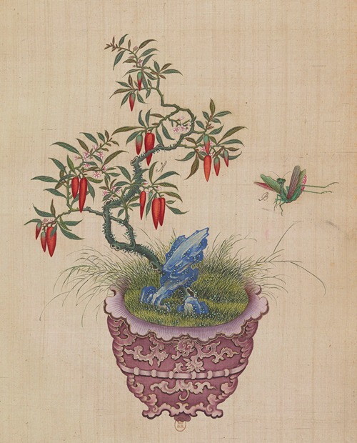 Flowers, birds and insects Pl.44
