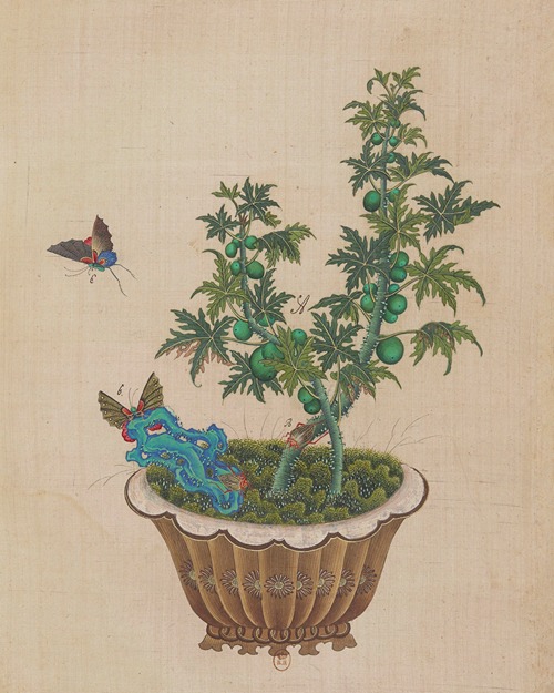 Flowers, birds and insects Pl.45
