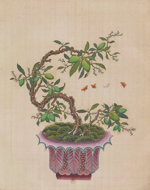 Flowers, birds and insects Pl.48