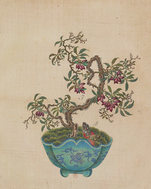Flowers, birds and insects Pl.50
