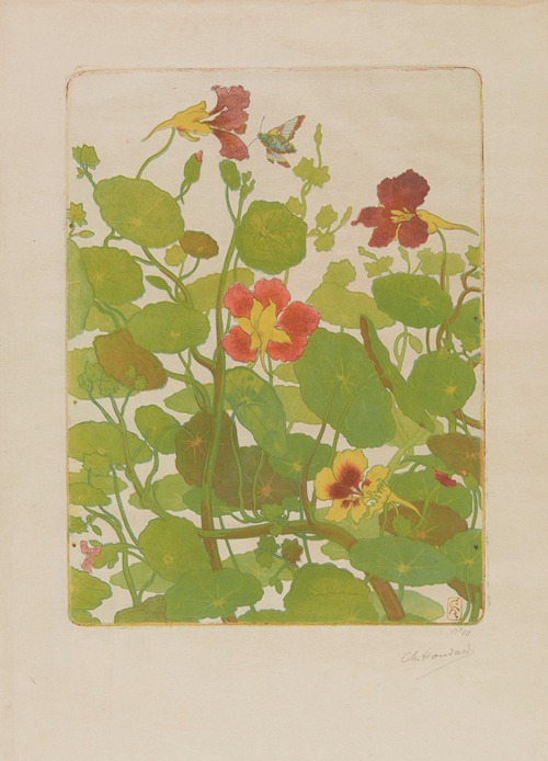 Capucines et papillon