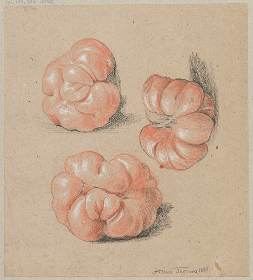Tomatoes
