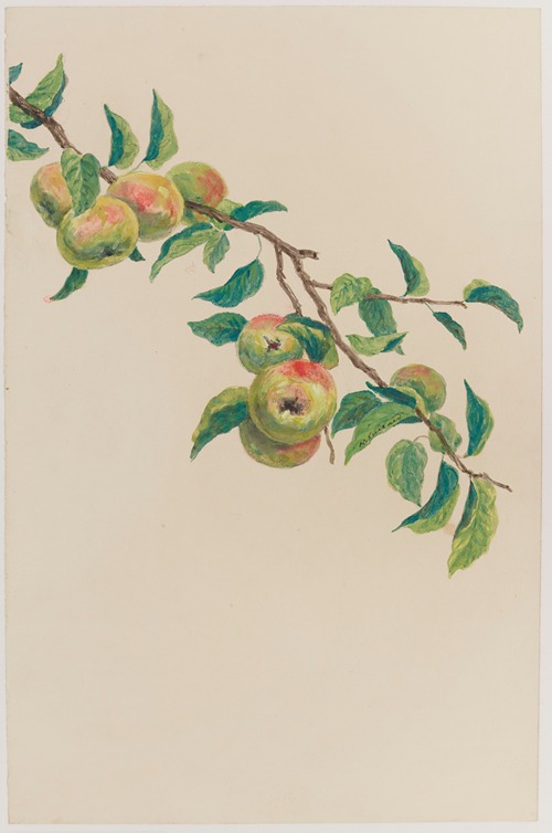 Branche de pommier
