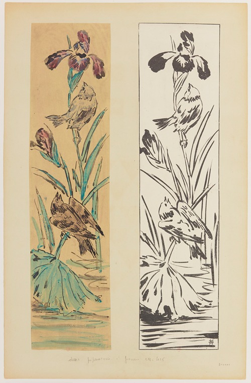 Iris d’eau aux oiseaux