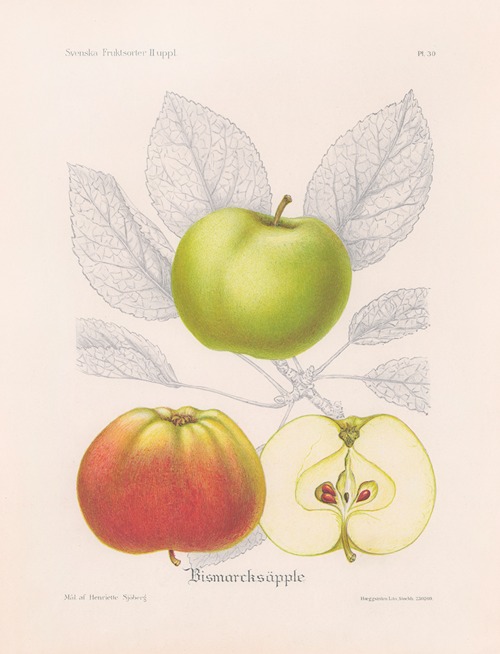 Bismarcksäpple