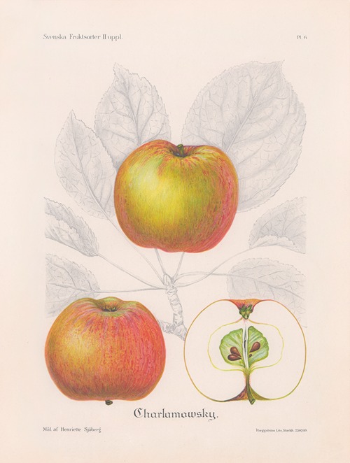 Charlamowsky
