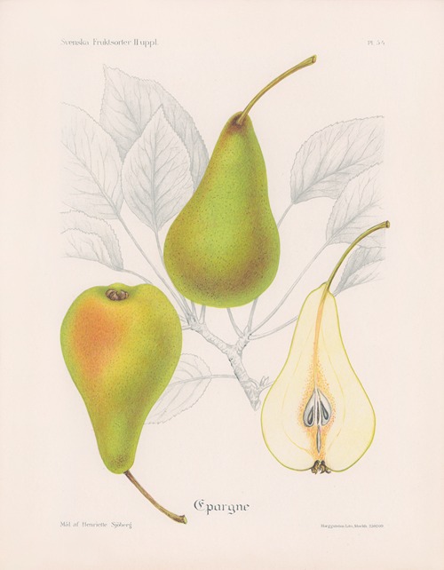 Epargne