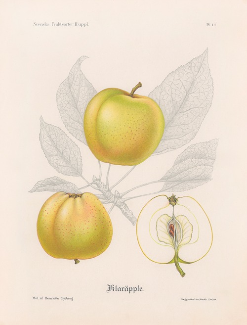 Klaräpple
