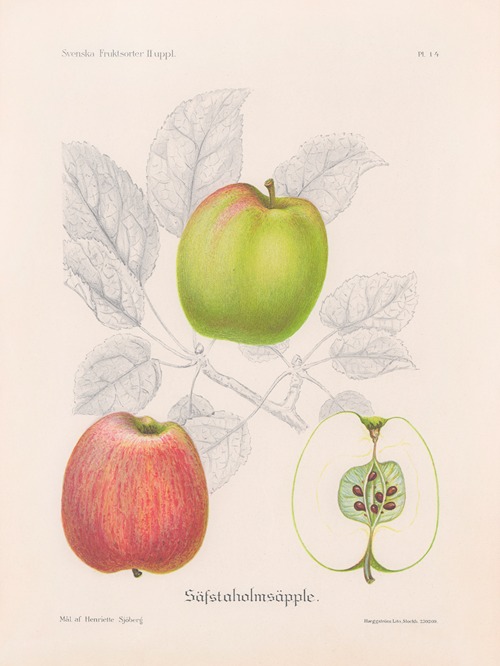 Sävstaholmsäpple