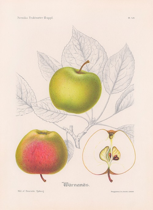 Värnanäsäpple