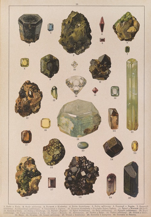 Historya naturalna w obrazach Pl.19