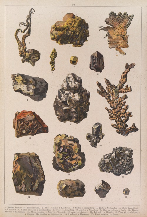 Historya naturalna w obrazach Pl.20