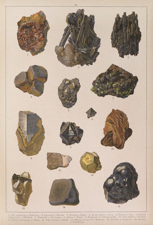 Historya naturalna w obrazach Pl.21