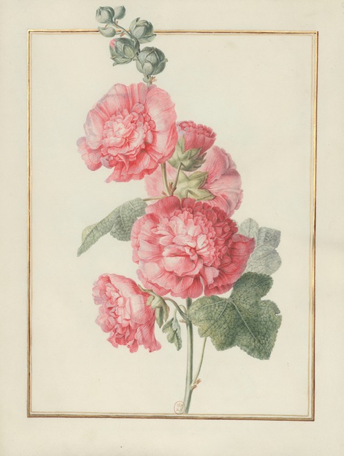 Collection of flower drawings Pl.02