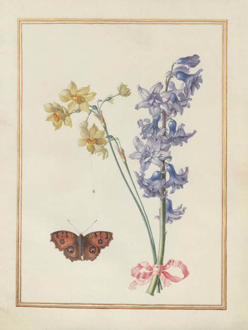 Collection of flower drawings Pl.07