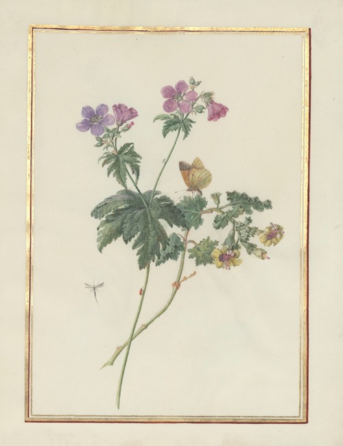 Collection of flower drawings Pl.09