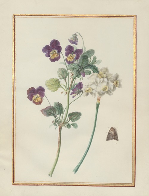 Collection of flower drawings Pl.22