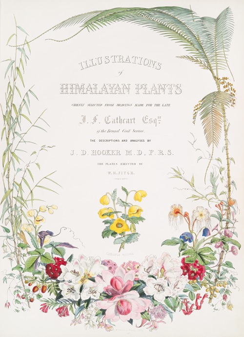 Illustrations of Himalayan plants…, [Title page]