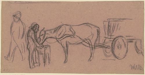 Grazing draught animal