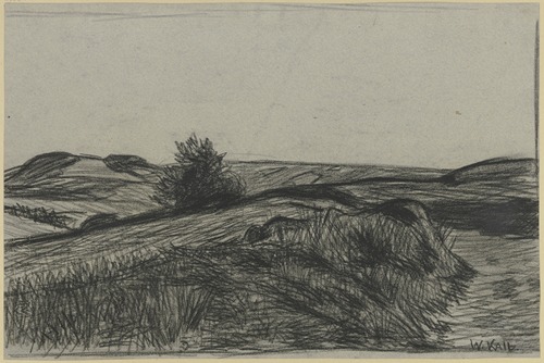 Raised bog