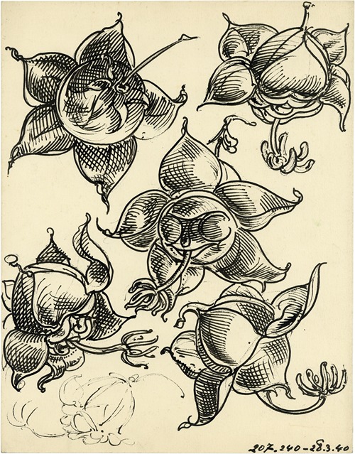 Bloemen