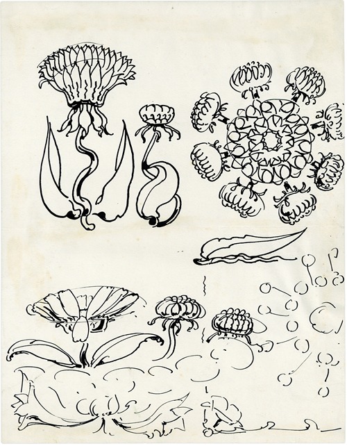 De St-Jansbloem