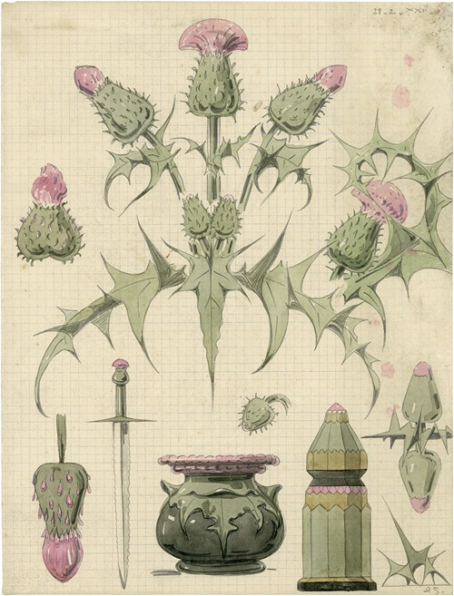 Distel, 2de soort