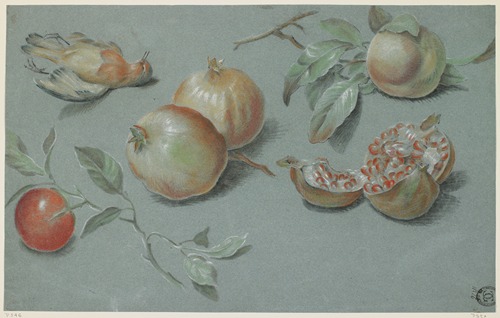 Pomegranates and Dead Bird