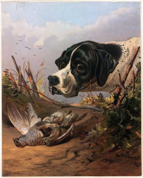 Dog’s Head (ca. 1861-1897)