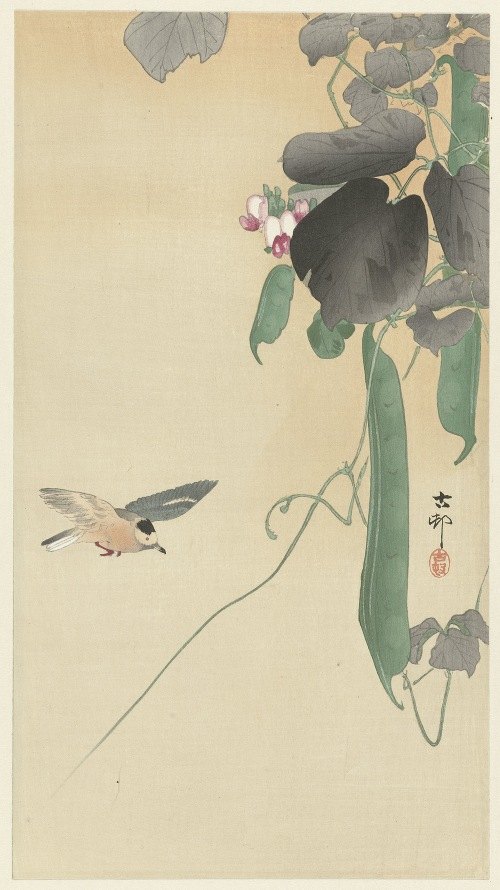 Tracer in the Art Style of Ohara Koson