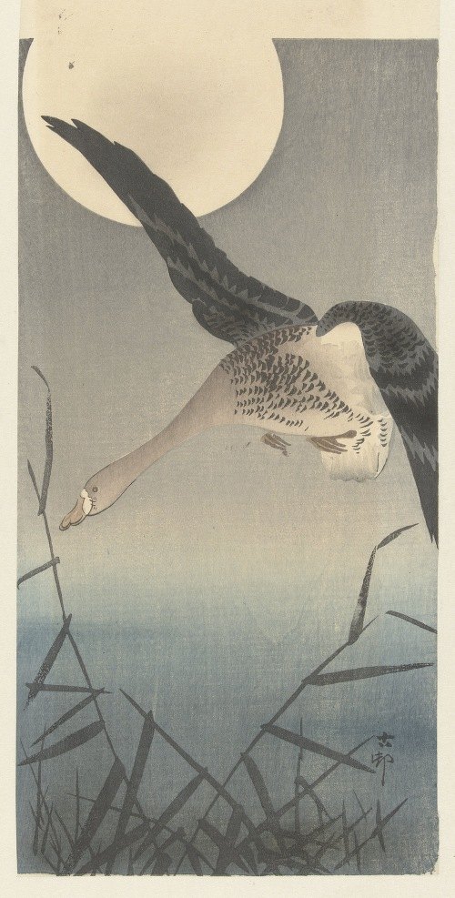 Ohara Koson - Artvee