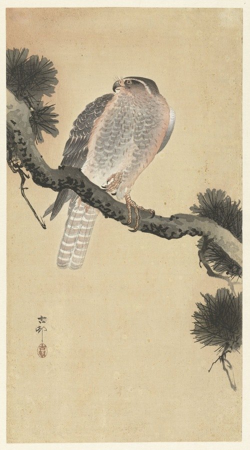 Ohara Koson - Artvee