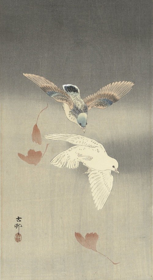 Blue Iris Flowers (Japandi Vintage) - Ohara Koson  Réplicas de quadros  famosos para as suas paredes