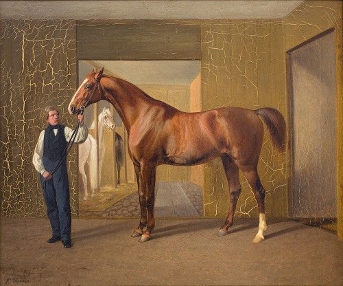 Lord Cochrane (1833 - 1872)