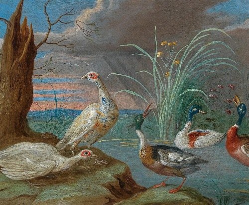 Ducks and other birds near a pond