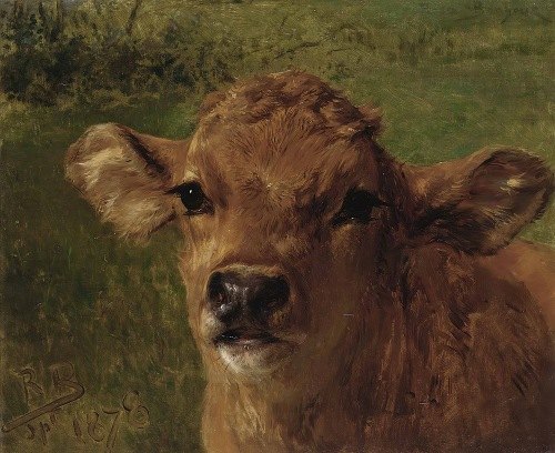 Head Of A Calf (1878)