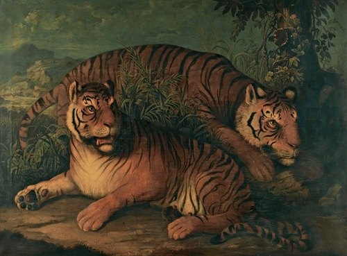 A Landscape With Bengal Tigers