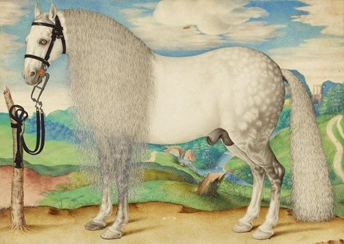 A Dappled Gray Stallion Tethered in a Landscape (about 1584-1587)
