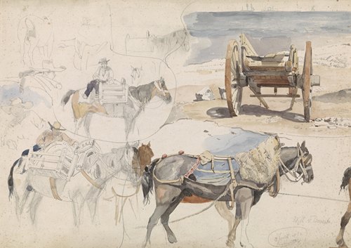 Studieblad met schelpenkar op het strand en diverse studies van paarden