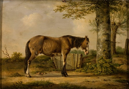 Horse by a tree