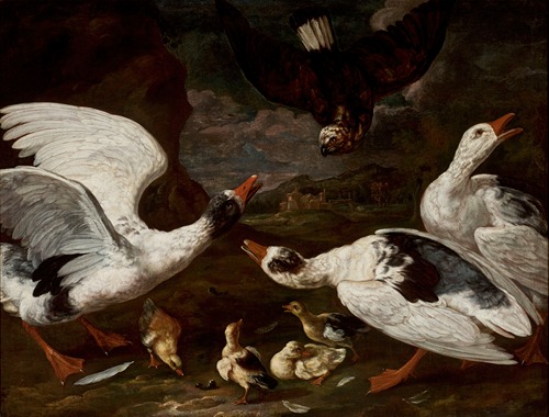 Hawk and geese