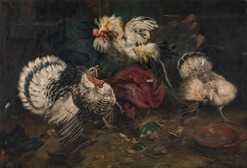 Fighting Cocks