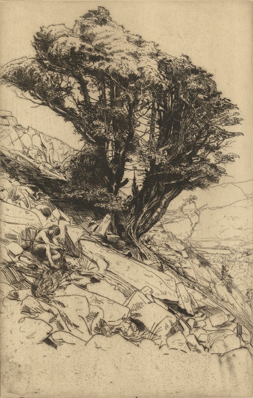A Yew Tree on Glaramara