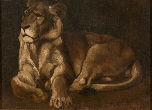 Lionne couchée