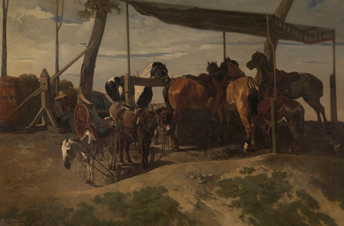 Horses and Donkeys for Hire